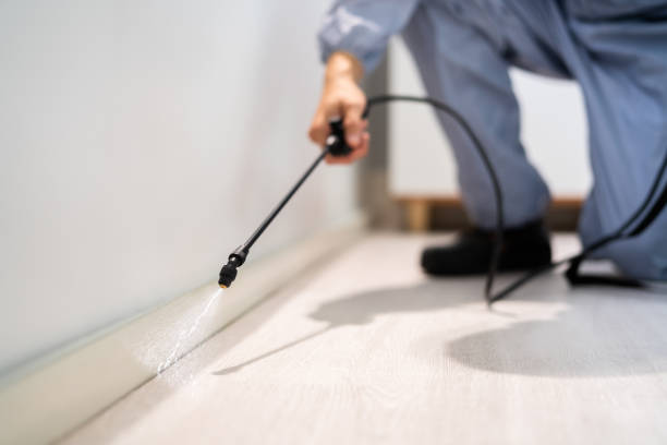 Rodent Entry Point Assessment in Akron